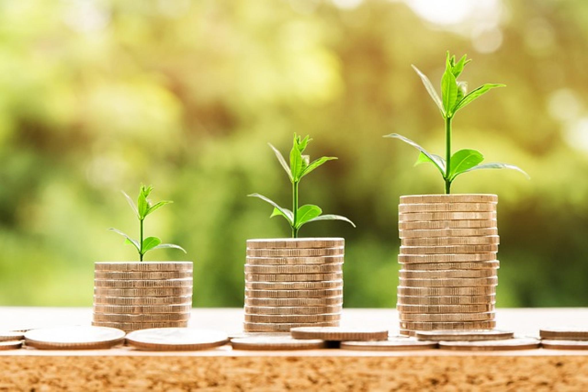 Image of plants sprouting from stacks of coins by nattanan23 from https://pixabay.com/photos/money-profit-finance-business-2696219/ (free to use under pixabay licence) 