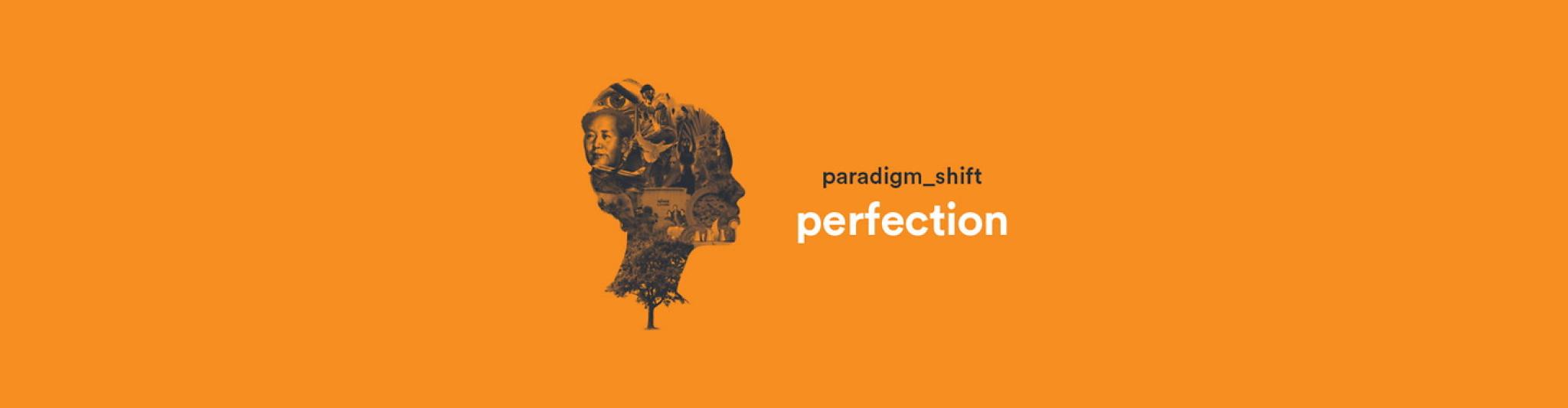 paradigm_shift perfection Banner.png