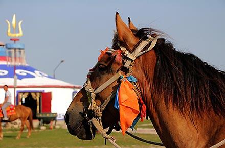 mongolia440-290.jpg